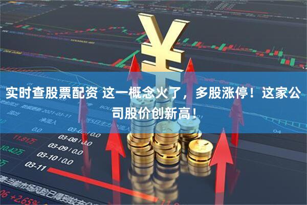 实时查股票配资 这一概念火了，多股涨停！这家公司股价创新高！